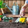 Outdoor Indoor Universal Garden Catcher Slug Trap