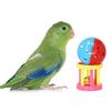 3 Pieces/set Interesting Indoor Outdoor Pet Training Toys Plastic Bird Plaything