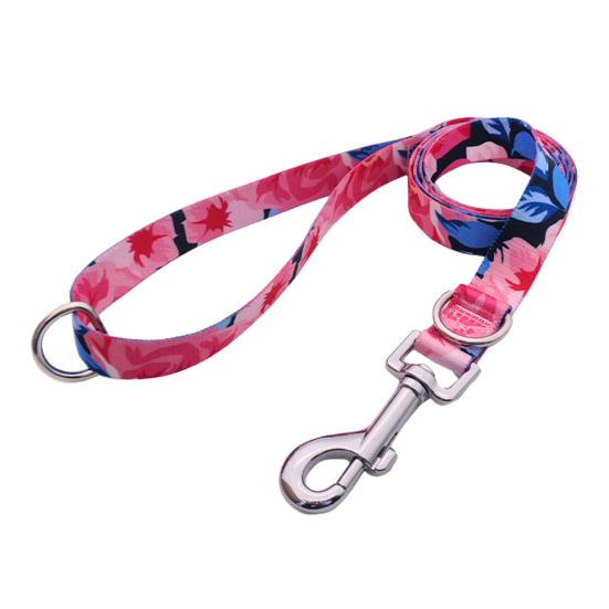 Attachment Dual D Buckle Length Adjustable Comfortable Walking And Training Pet Traction Leash