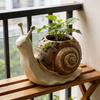 Maceta de Caracol Linda Dibujo Animado Maceta Suculenta Maceta de Criatura Multifuncional Interior