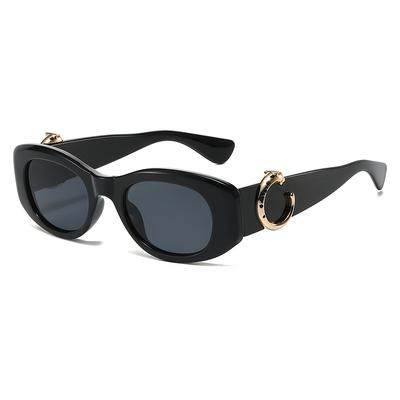 Kajia Zonnebril met Groot Montuur Groot Merk Gepersonaliseerde Luipaard Zonnebril Cat Eye Voor Mannen en Vrouwen Party Veelzijdige Bril