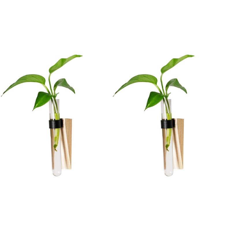 

2Pcs Wall Mounted Propagation Tubes with Wooden Stand and PU Leather Strap for Hydroponic Plant Space Saving Vertical Garden Decors Display