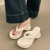 Small Thick-soled High-heeled Flip-flops Women's Shoes 2025 Summer New Fashion Women's Wedge Heel Waterproof Table Sandals