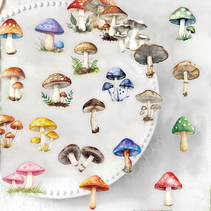 50 Transparent Cartoon Mushroom Sticker Pack Waterproof Transparent PET Manual Material Decorative Guitar Notebook