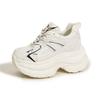 Women's Thick Bottom Casual Dad Shoes New Autumn Breathable Mesh Chunky Sneakers Mixed Color Versatile High Platform Sport Shoes