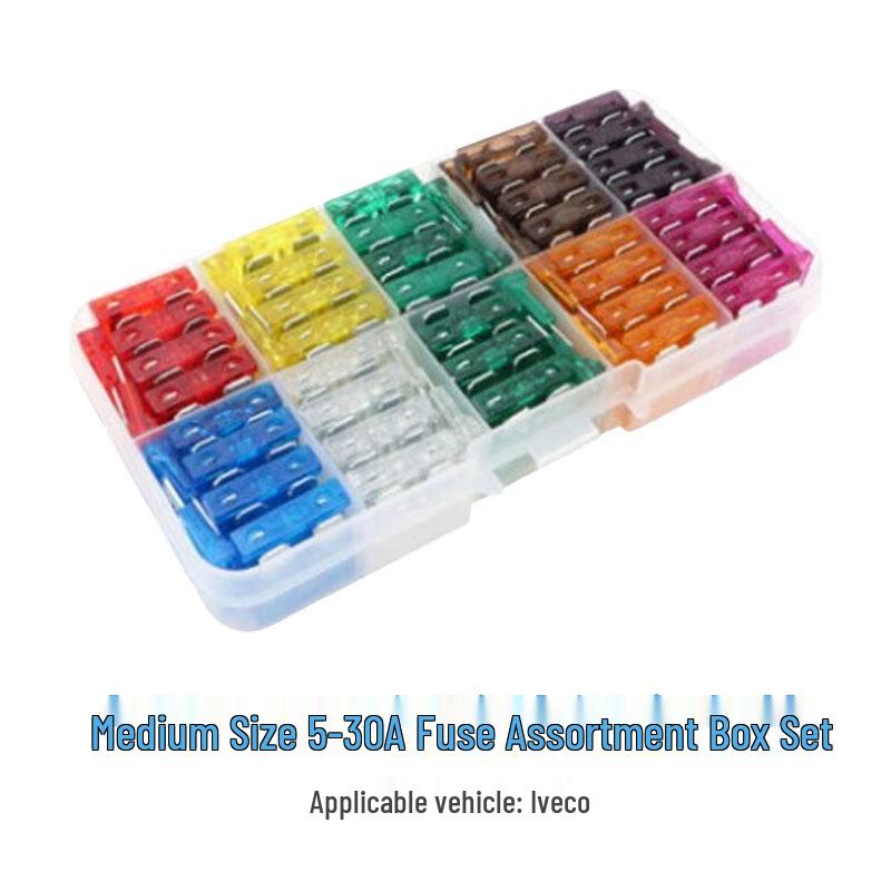 Gladys Medium 5-30A Automotive Fuse Set (100-Pack) for Iveco