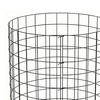 Wire Plant Protector with Top Cover Detachable Wire Mesh Plant Cage Plant Shield Keep Animals Out for Garden Plants Flowers Vegetables