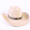 Popular European and American Classic Suede Western Cowboy Hat Men's and Women's Big Brim Embroidered Outdoor Sun Hat