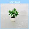 Monthly Realistic Rose Artificial Green Plants Potted For Indoor Decoration