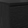 Shoe Cabinet with Shelf Black Oak Effect 100.5 x 28 x 100 cm