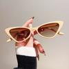 2pcs Cat Eye Sunglasses Versatile Fashion Sunglasses Street Po Personalized Sunglasses