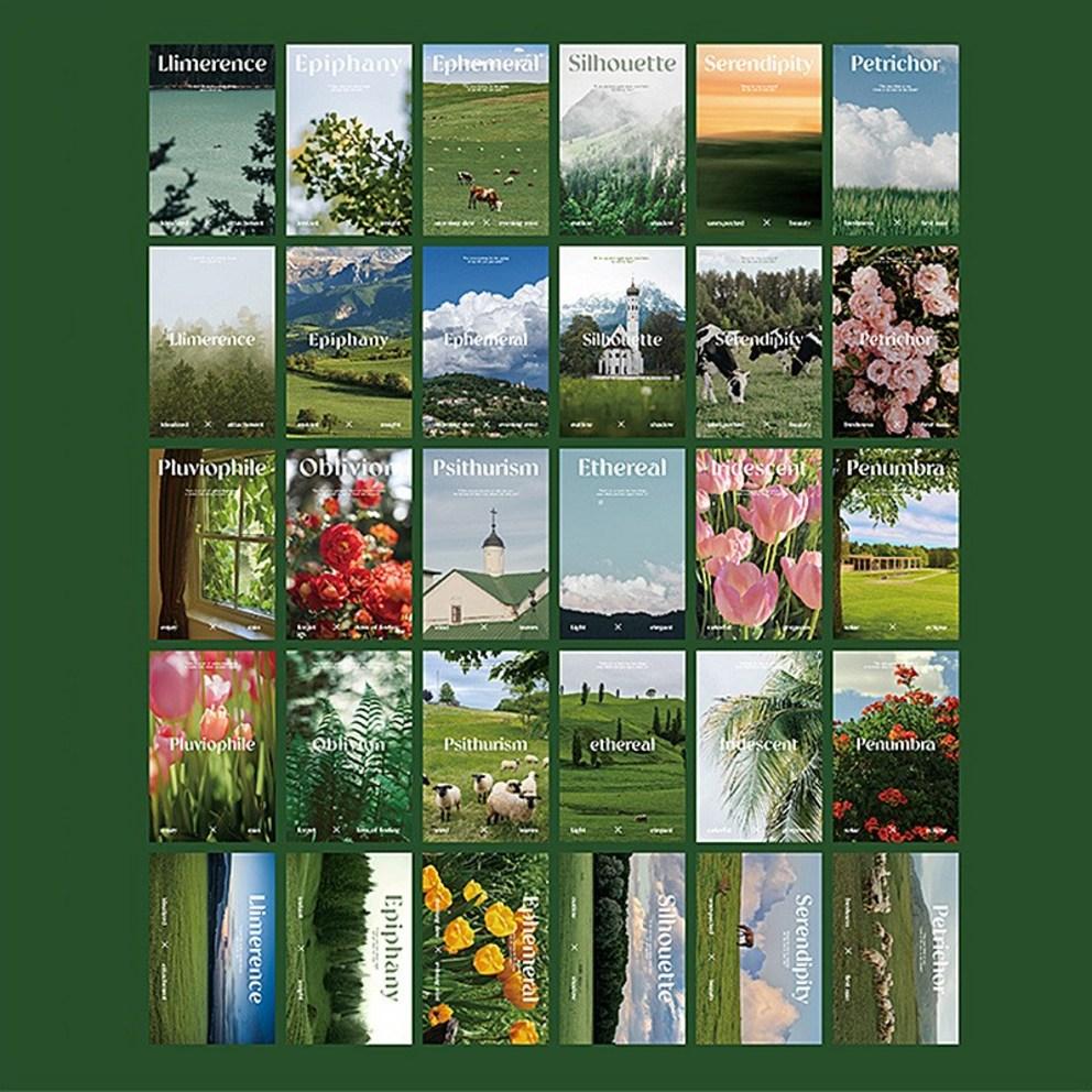 

Momo Blanc Landscape Photo Interior Emotion Postcard Set of 30