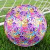 My Little Pony Theme Size 5 Soccer Ball, Suitable for Both Indoor and Outdoor Matches, a Gift Suitable for Everyone.