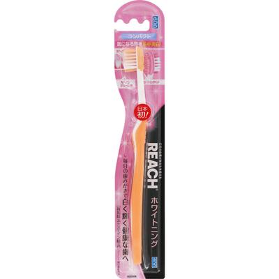 Ginza Stephanie Cosmetics REACH Whitening EX Brosse à Dents « Ordinaire » 1 pièce Composition des brosses à dents)Matériau de la poignée: polypropylène, matériau de bris