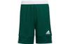 Sports Shorts Men's Dark Green White DY6623