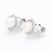 New Fashion Natural Freshwater Pearl Geometric Earrings Stone Inlaid Exquisite Temperament Silver Ear Piercing Ear Clip Ear Ornament for Women