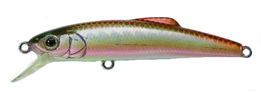 TackleHouse Minnow Buffett S 43mm 2.4g Aburahaya #12 S43 Lure 43mm