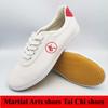 Męskie Buty Miękka Podeszwa Buty Tai Chi Płócienne Sznurowane Buty Treningowe Taekwondo Antypoślizgowa Wytrzymała Gumowa Podeszwa Męskie Buty Sztuk Walki