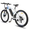 FAFREES F28 MT Mountain Electric Bicycle 36V15Ah Battery 250W Motor 27 Inch Off-Road Tires 150KG Load E-Bike For Adult