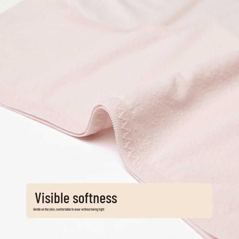 Regina Miracle Women's Cotton Blend Breathable Underwear - 3 Pack