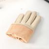 Fleece Thickened Windproof Waterproof Touch Screen Couple Men's Driving Korean Style Bike Riding Winter Gloves