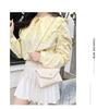 Embroidered Square Shoulder Bag - Korean-Style Crossbody Purse for Women
