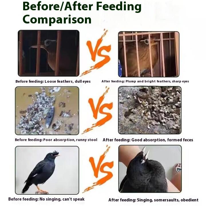 Kaiyuan Starling Bird Food, Parrot, Thrush, Myna, Learn To Speak Quickly, Anti-diarrhea, Calcium Supplementation, Bright Hair, Fat, Nutritious Food