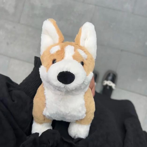 Jc Corgi Betty Plush Toy Stuffed Animal Doll Bedroopm Decoration Gifts Kids