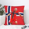 Haalands Square Pillow Case Cushion Covers Fashion Zipper Decorative Throw Pillow Case Cover for Home Xcm