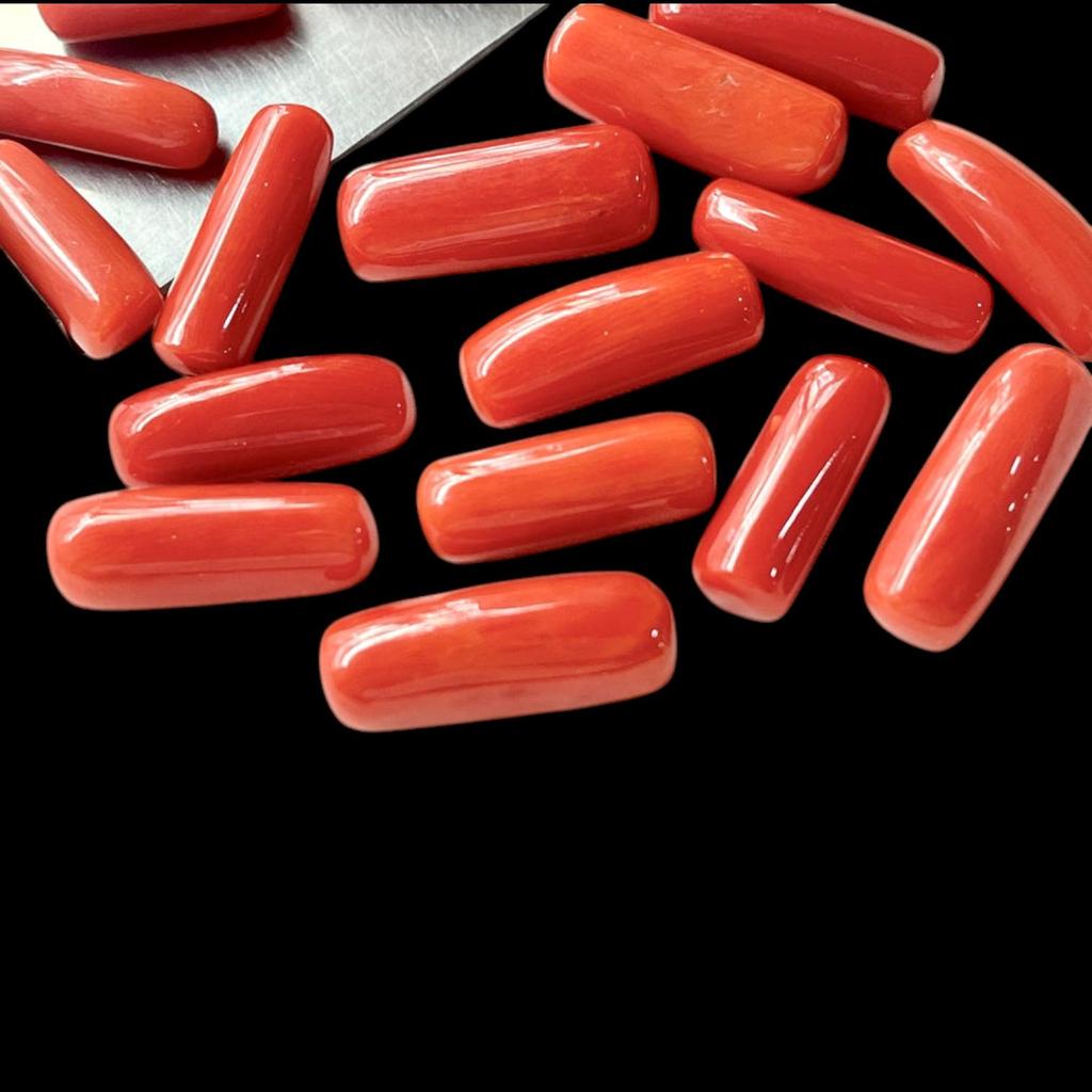 Natural Red Coral Gemstone Coral Capsule Polished, Red Coral Capsule Polish Coral Natural Gemstone Jewelry Making.