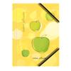 Lacquered Cardboard Folder, A4, with Elastic Corners. Apple