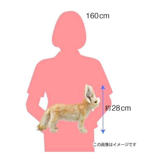 BH7239 HANSA Fennec 35