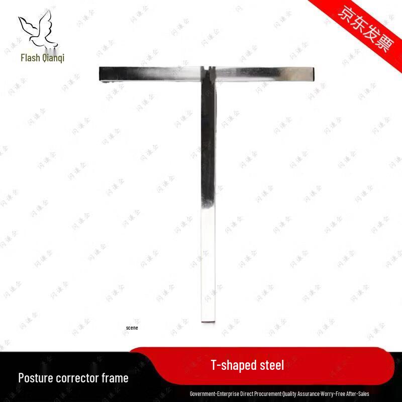 

Steel Posture & Parade Training T-Frame