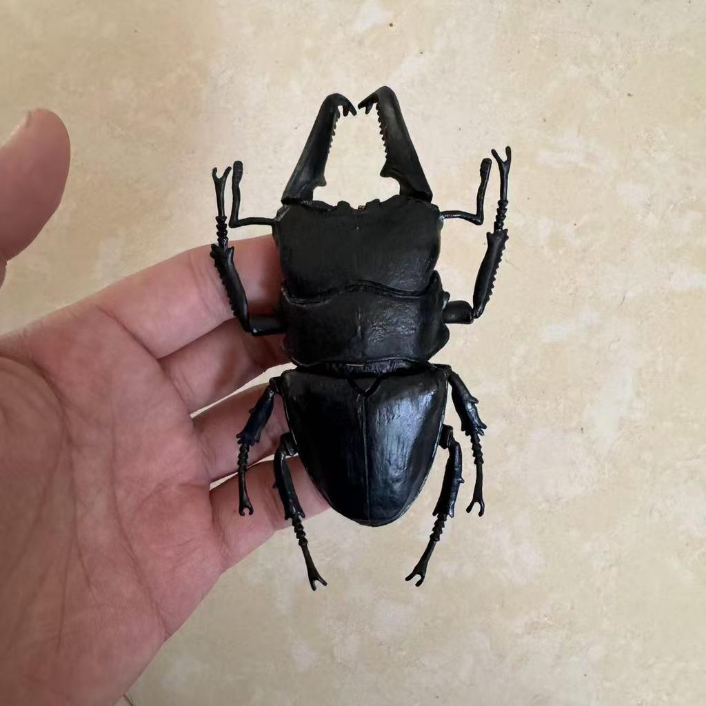 Biographical Analysis of Deer Antler Beetle plus Claw Shaped Insect Beetle Gacha Simulation Animal Movable Joints Figure Playthings