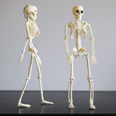 2 Stück Halloween Skelett Dekorationen Ganzer Körper Bewegliche Gelenke 16'' Skelette