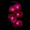Waterproof Solar Moth Orchid Light Activated Yard LED Lamp Garden Pathway Lawn Light