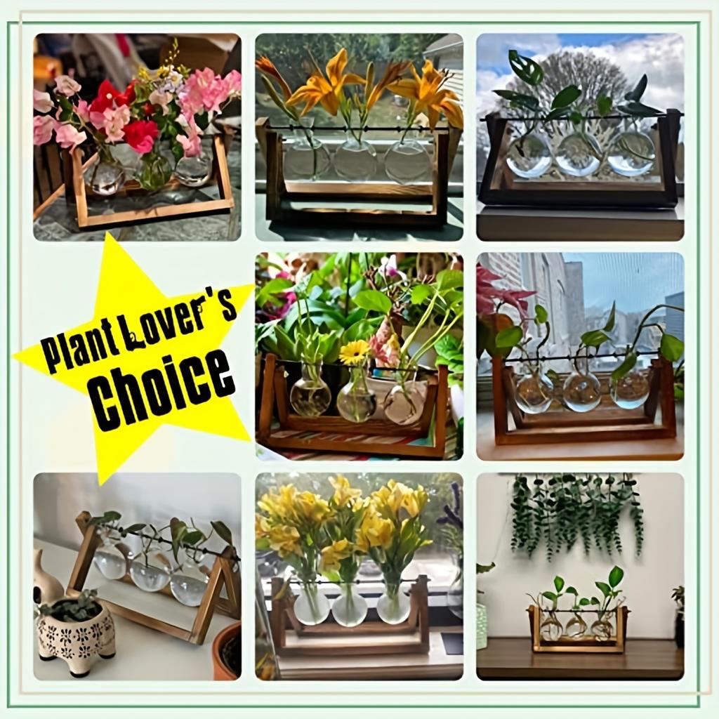 Air Planter Bulb Glass Vase Plant Terrarium With Wooden Stand Retro Tabletop For Hydroponics Home Garden Office Decoration