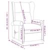 VidaXL Fauteuil Inclinable, Siège avec Accoudoirs et Dossier, Chaise de Relaxation avec Repose-pied, Meuble de Salon, 340958