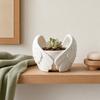 Angel Wings Planter, 3D Printed Decorative Flowerpot, White Feathered Wings Plant Pot for Succulents Small Plants