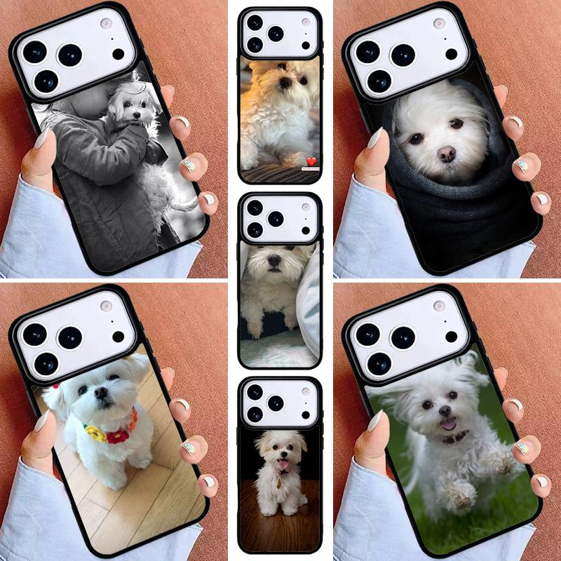 Maltese Dog Puppy Cute Phone Case for iPhone 17ProMax 12 13 14 15 16e 17 Pro Max Plus Air Cover