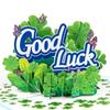 Good Luck Popup  Card Clovers Popup  Greetings Card 3D Birthday Card Gift Cards for Graduations