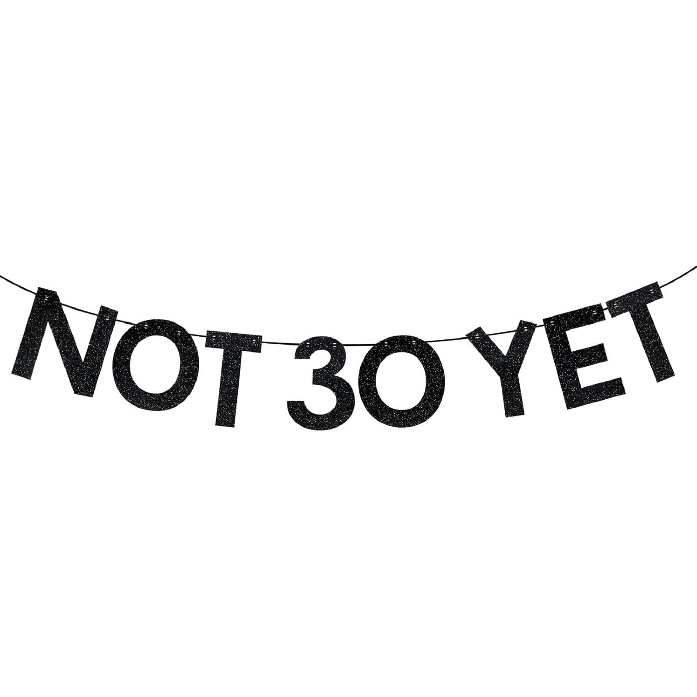 29th Birthday Banner for Birthday Party Decorations, Pre-Strung Black Glitter Not 30 Yet Banner for 29th Bday Party Supplies Decor Gifts