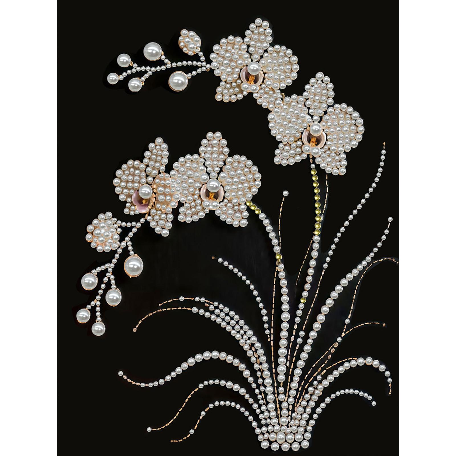 

DIY Pearl Painting Kit With Frame Pearl Painting Art Kits 30x40cm for Adults Beginners Home Wall Decor