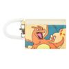 Pokemon Single Pass Case Charizard PKM-679