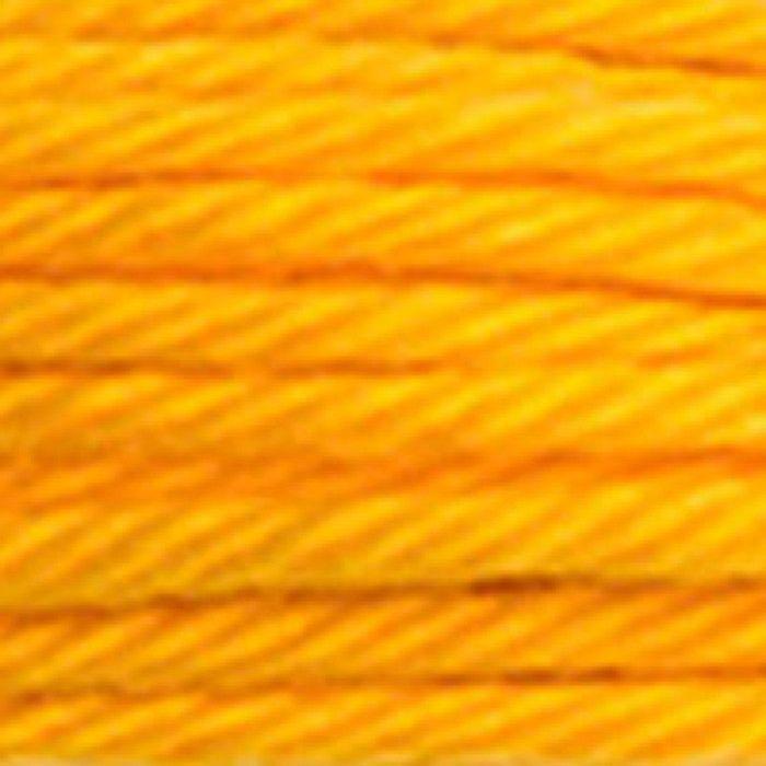 DMC Col Retors Thread. 2742 Canvas and Tapestry