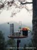 CAMPING MOON Camping Tripod Table with Custom Top, Camera Tripod & Smart Stand, 2-Way, Walnut, Z01-T-Z57