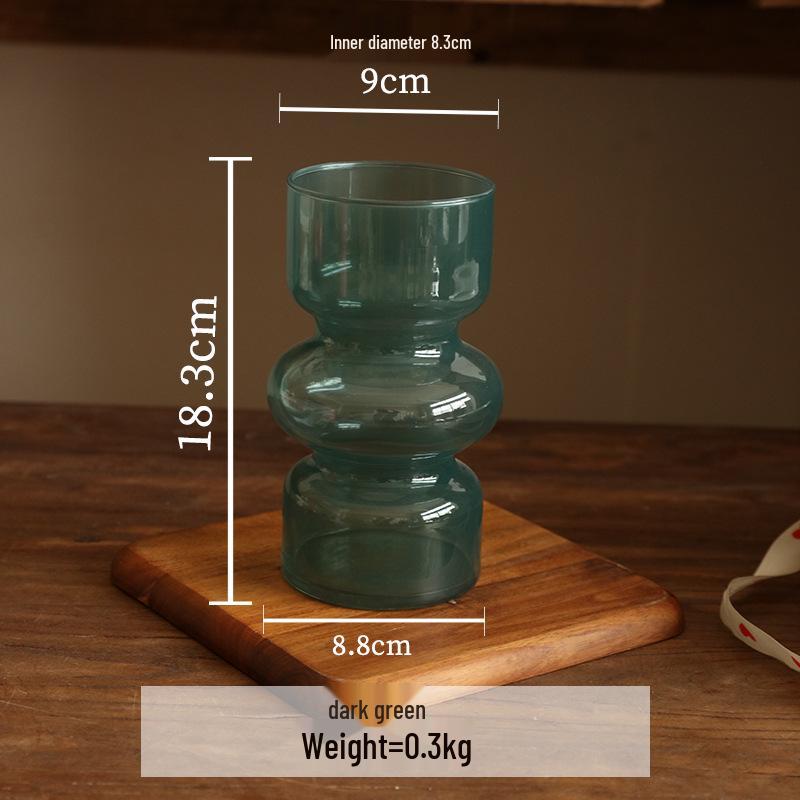 Mid-Century Light Luxury Glass Vase for Hydroponic Floral Arrangements