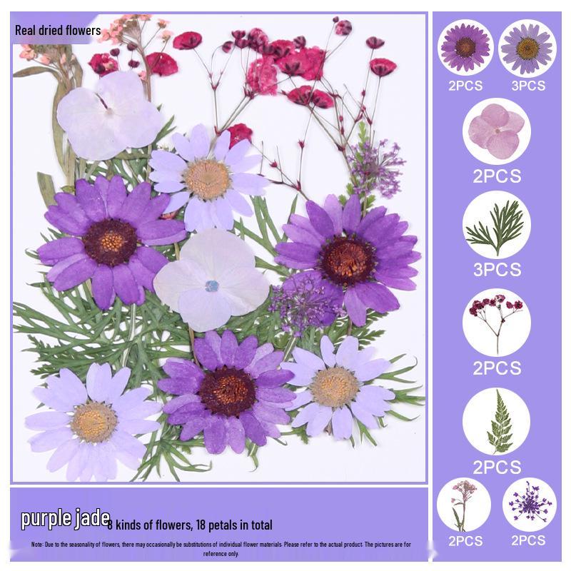 Handmade Resin Pressed Flower Bookmark DIY Kit: Transparent Specimen Stickers & Dried Flowers for Students