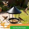 Hot-Selling Wrought Iron Outdoor Hanging Bird Feeder - Anti-Spill Ring Design for Garden Decoration