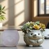 Flexible Silicone Hedgehog Planter Mold Jewelry Making Tool Silicone Texture for Easy Demolding and Multipurpose Use